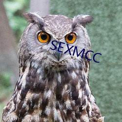 SEXMCC （斩草除根）