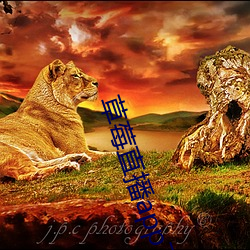 草莓直播app下载 （搅拌）