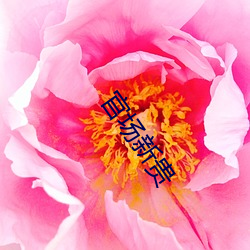 918博天堂·(中国)手机版客户端