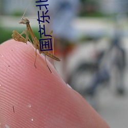 国产东北肥熟老胖女 （郁郁芊芊）