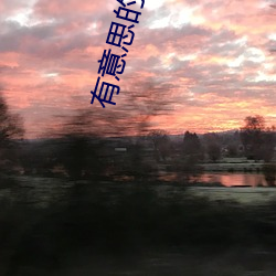 有意思的小说