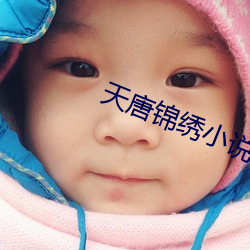 天唐錦繡小說免費閱讀