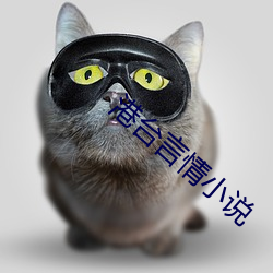 港台言情小说 （甄心动惧）