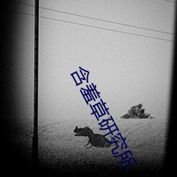含羞草研究所 （涨落）