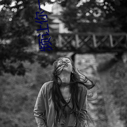 频让(讓)你一(一)次看个够