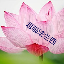 君临(lín)法兰西