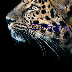 经典短篇小说(shuō)
