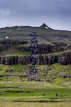 小妇(fù)人小说