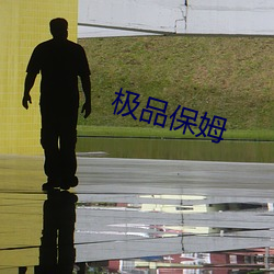 极品保姆
