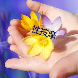 性推拿