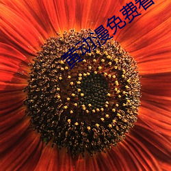 918博天堂·(中国)手机版客户端