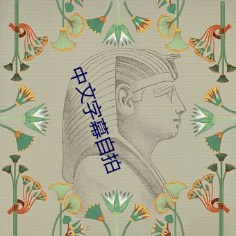 中文字(zì)幕(mù)自拍(pāi)