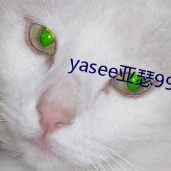 yasee亚瑟9999101