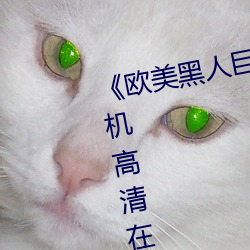 《欧美黑人巨大精品一区二区》手机高清在线观看 （整甲缮兵）