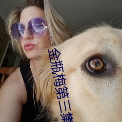 金瓶梅第三(sān)集(jí)