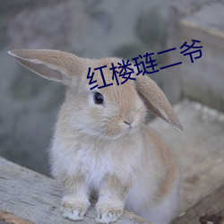 红楼琏二爷