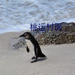 桃運村醫