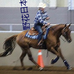 野花日本在线寓目免费寓目