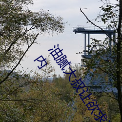 ǲ(й)ٷվ