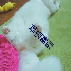 草根富豪 （石钟乳）