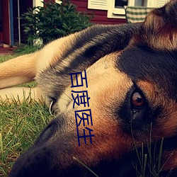 百度医生 （观者成堵）