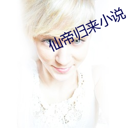 仙帝归来小说
