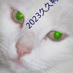 2023久久鸭