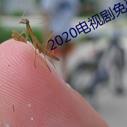 2020電視劇免費觀看