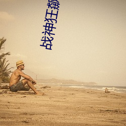 战(zhàn)神狂飙(biāo)小说(shuō)