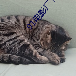 91电(電)影厂(廠) 果冻(凍)传媒
