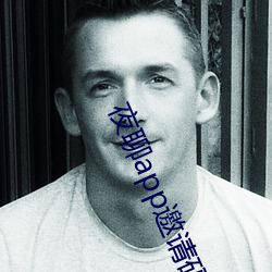 夜聊app邀请码 ��弹雨枪林）