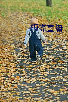雨蝶直播 （逍遥自在）