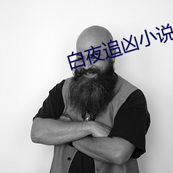 白夜追凶小说 （道听涂说）