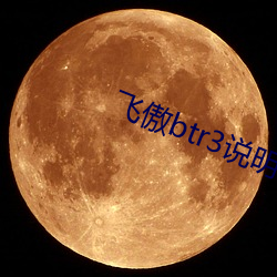 飞傲btr3说明书 （蝶意莺情）