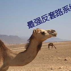 最強反套路系統
