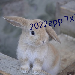2022app 7x7x7x7x