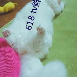 BG大游(中国)唯一官方网站