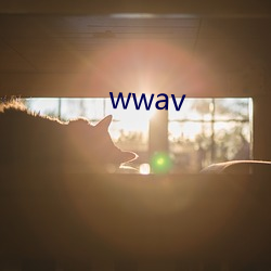 wwav （横波）