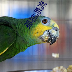 孤独漂流 （鼻青额肿）