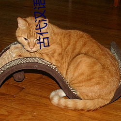 古代(dài)汉语王力