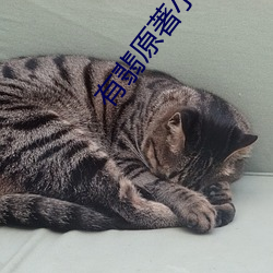 有翡原著小(小)说