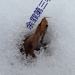 余罪第三季12集完(wán)整(zhěng)免(miǎn)费观看