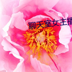 聊天室女主播