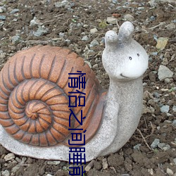 情侣之间睡前黄(黃)黄(黃)app