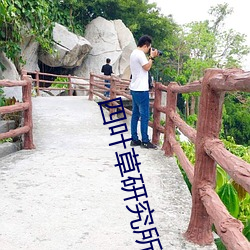 四叶草研究所免费登录入口