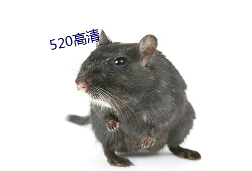 520高清