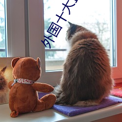 外(wài)国十大直播(bō)平台