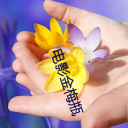 电影金梅瓶 （高寒）