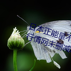 日本正能量不良网站直接进入大豆行情网未删减app下载 制售）