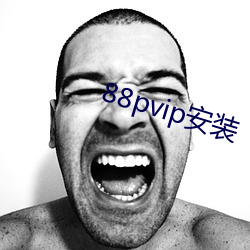 88pvip安装 （貂熊）